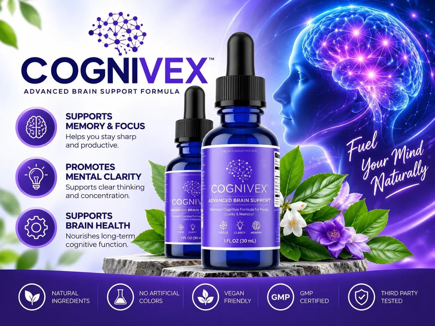 Cognivex advanced brain support formula how it works image